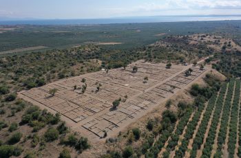 Olynthus