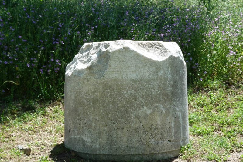img-2421